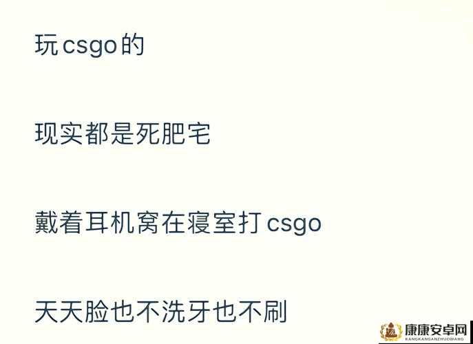 暴躁老阿姨CSGO娃娃脸：在游戏世界中展现独特魅力